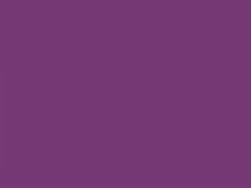 75 cm 400 lfm 19 amethyst