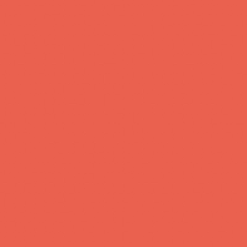 35 cm 502 neonorange