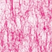 3450 pink