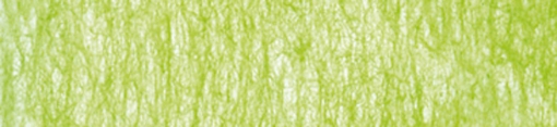 6380 hellgrün