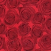 9000 Rosen rot/schwarz 75cm 330lfm