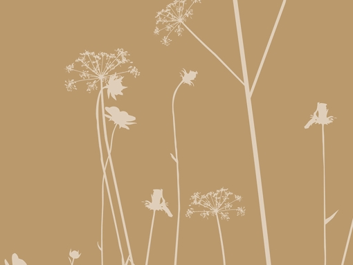 844 Blumenwiese natur 75cm 310lfm