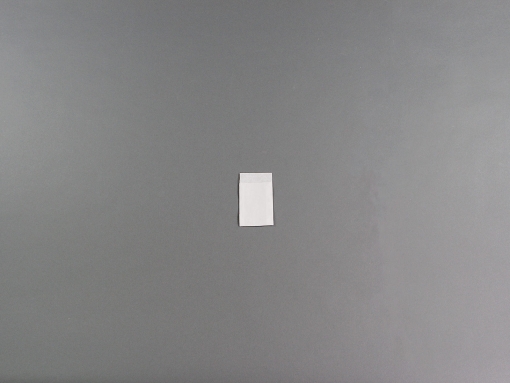 06,5x9,5 cm weiß 50 g