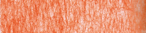 8280 orange
