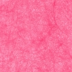 005 fuchsia