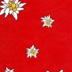 50cm 350 lfm rot