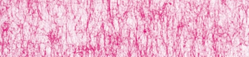 3450 pink