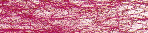 3500 weinrot