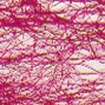 3500 weinrot