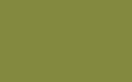 75 cm 360 lfm 50 olive